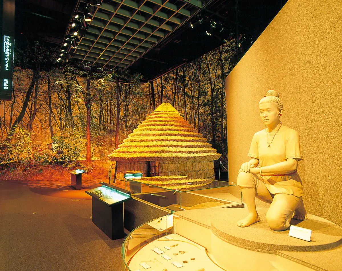 🏛️ 도호쿠 역사박물관 이미지 3